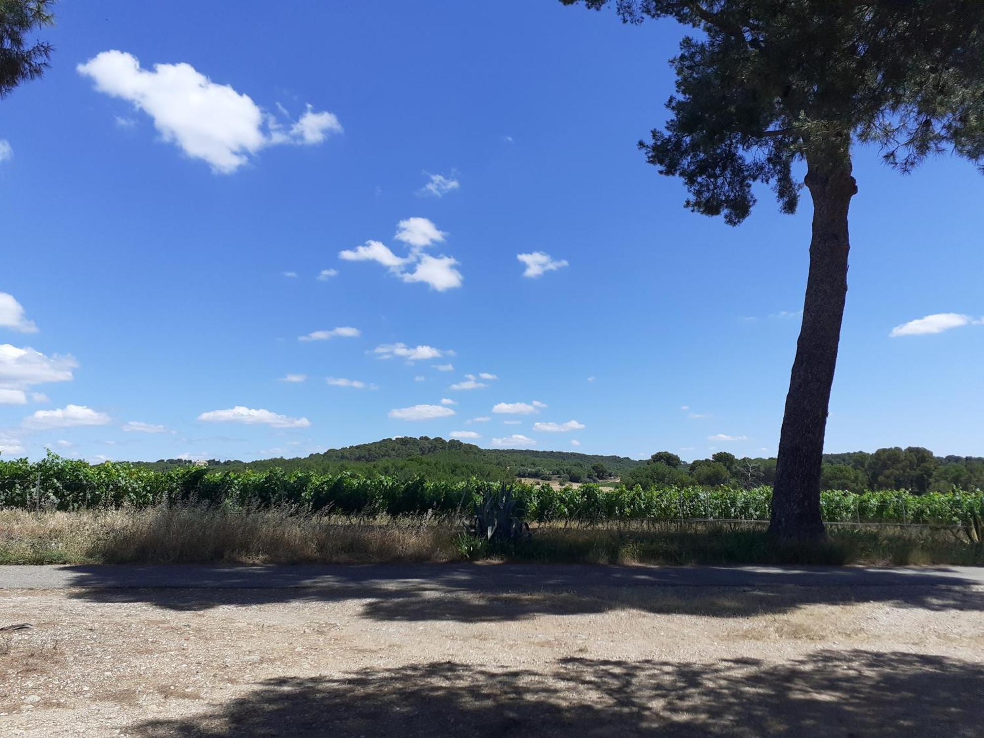 Ferienhaus Location 5 Personnes *